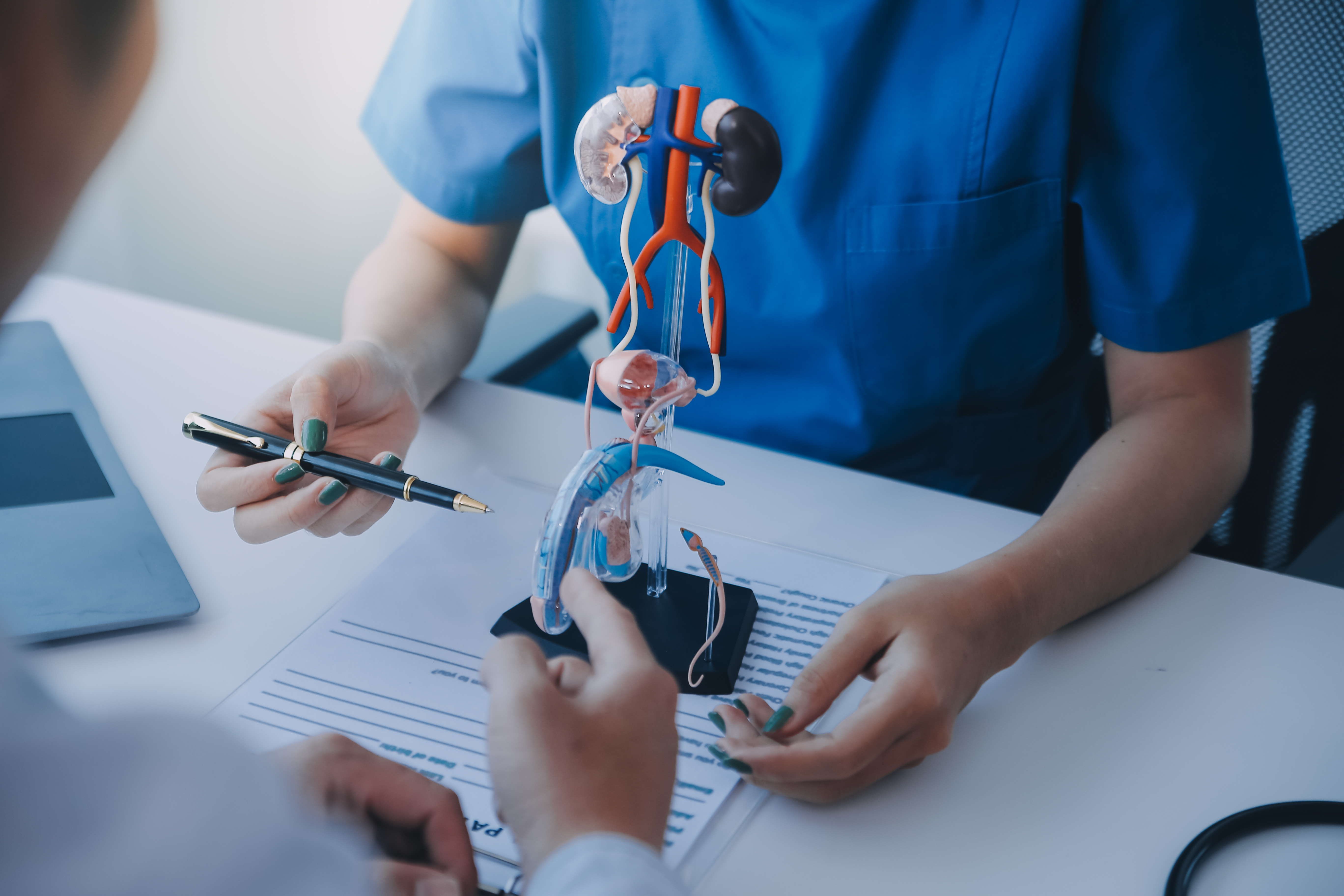 endocrinology scribe