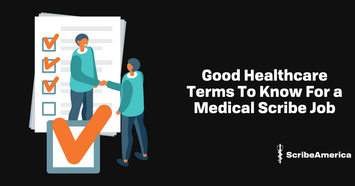 15 Good Healthcare Terms to Know for a Medical Scribe Job