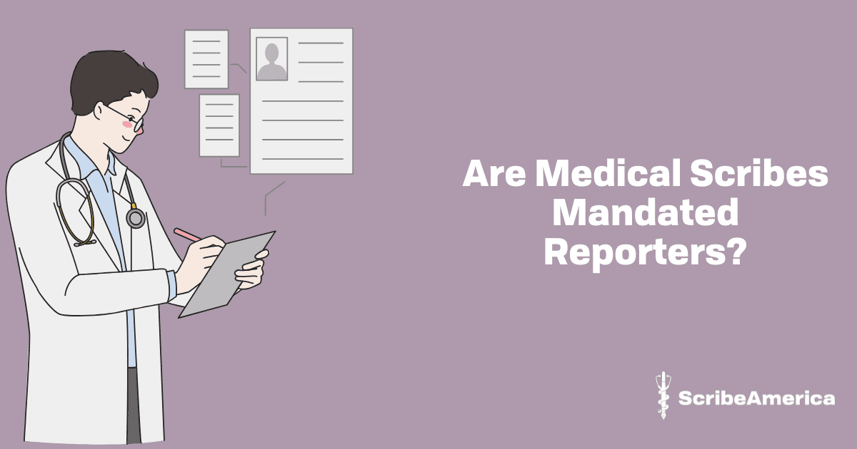 Are Medical Scribes Mandated Reporters?