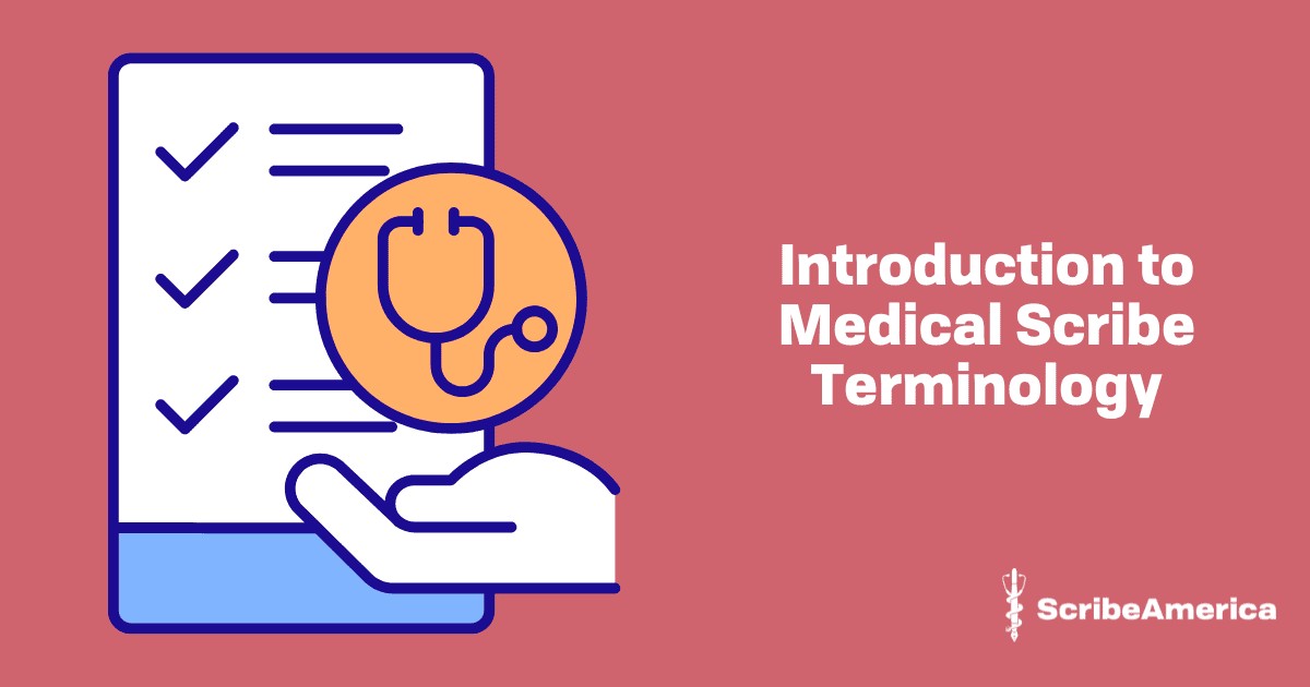 Introduction to Medical Scribe Terminology