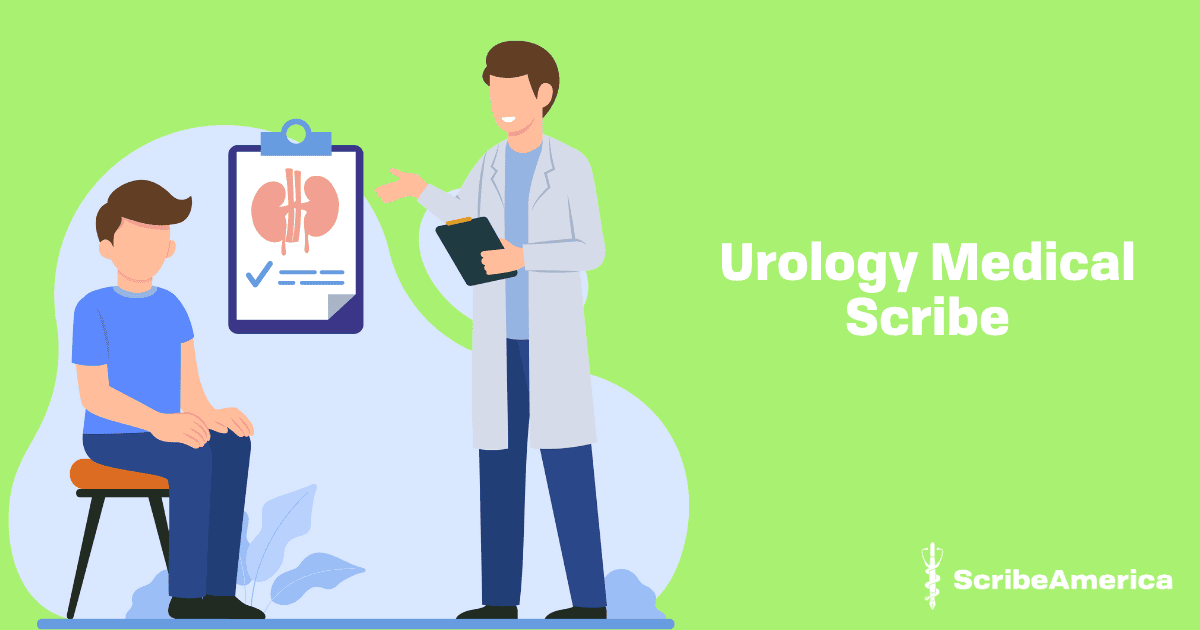 Urology Medical Scribe